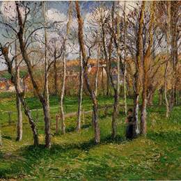 卡米耶·毕沙罗(Camille Pissarro)高清作品:Meadow at Bazincourt