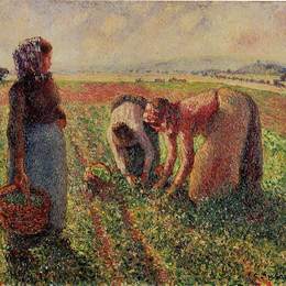 《摘豌豆》卡米耶·毕沙罗(Camille Pissarro)高清作品欣赏