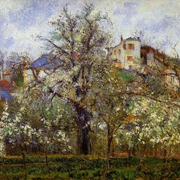 《有开花的树，春天，蓬图瓦兹的菜园》卡米耶·毕沙罗(Camille Pissarro)高清作品欣赏