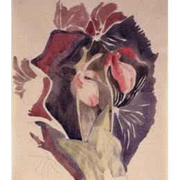 《野兰花》查尔斯·德穆斯(Charles Demuth)高清作品欣赏