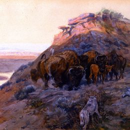 《马拉湾水牛群》查尔斯·拉塞尔(Charles M. Russell)高清作品欣赏