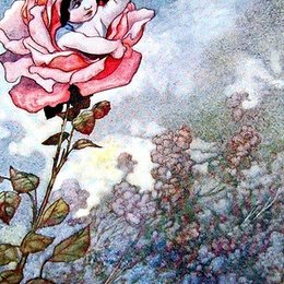 《藏在玫瑰里的孩子》查尔斯·罗宾逊(Charles Robinson)高清作品欣赏