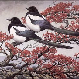 《荆棘树》查尔斯·图尼克利夫(Charles Tunnicliffe)高清作品欣赏