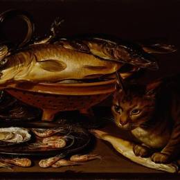 《鱼和猫的静物》克莱拉·佩特斯(Clara Peeters)高清作品欣赏