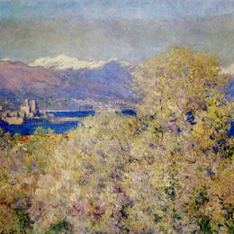 《安提贝——萨利斯花园观》克劳德·莫奈(Claude Monet)高清作品欣赏
