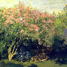 《阳光下的丁香花》克劳德·莫奈(Claude Monet)高清作品欣赏