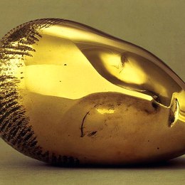 brancusi)高清作品欣賞127140《太空鳥》康斯坦丁·布朗庫西