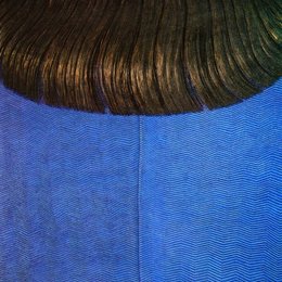 《蓝色衣服上的红头发》多米尼克·格诺里(Domenico Gnoli)高清作品欣赏