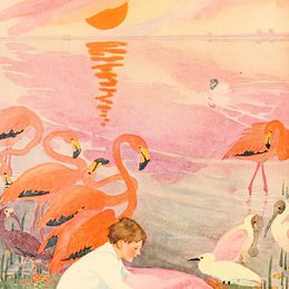 《一个小男孩迷路了》多萝西-拉斯罗普(Dorothy Lathrop)高清作品欣赏