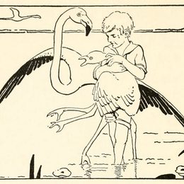 《一个小男孩迷路了》多萝西-拉斯罗普(Dorothy Lathrop)高清作品欣赏