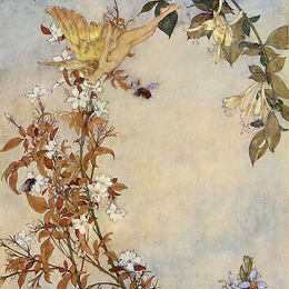 《暴风雨：艾莉尔与蜜蜂》埃德蒙·杜拉克(Edmund Dulac)高清作品欣赏