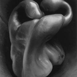 《胡椒30号》爱德华·韦斯顿(Edward Weston)高清作品欣赏