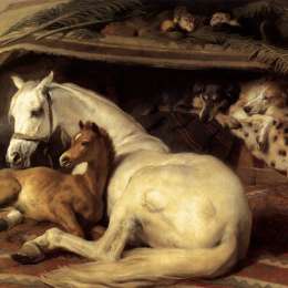 《阿拉伯帐篷》埃德温·兰西尔(Edwin Henry Landseer)高清作品欣赏