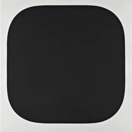 埃斯沃兹·凯利(Ellsworth Kelly)高清作品:Black Variation IV, from Second Curve series