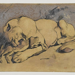 《母狮吞食一只兔子》欧仁·德拉克罗瓦(Eugene Delacroix)高清作品欣赏