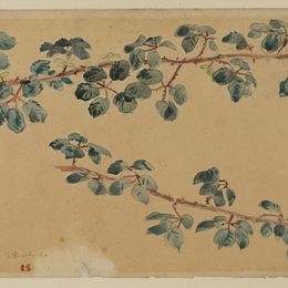 《两枝叶》欧仁·德拉克罗瓦(Eugene Delacroix)高清作品欣赏