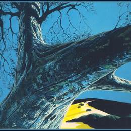 《遥远的草地》艾文·厄尔(Eyvind Earle)高清作品欣赏