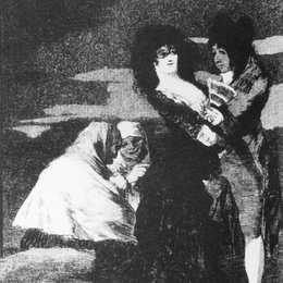 《羽毛鸟》弗朗西斯科·戈雅(Francisco Goya)高清作品欣赏