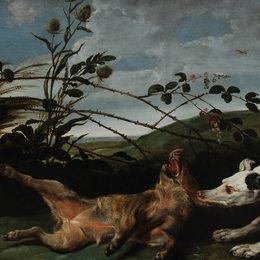 《灰狗抓住一只野猪》弗朗斯·斯奈德斯(Frans Snyders)高清作品欣赏