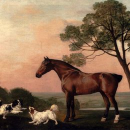 《有两个猎犬的海湾猎人》乔治·斯塔布斯(George Stubbs)高清作品欣赏