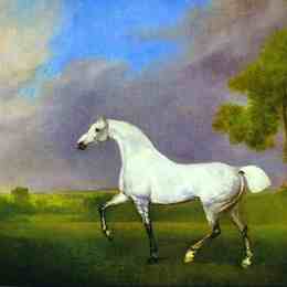 《灰马》乔治·斯塔布斯(George Stubbs)高清作品欣赏