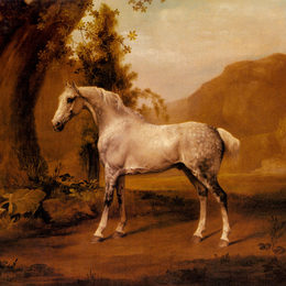 《一匹灰色的种马》乔治·斯塔布斯(George Stubbs)高清作品欣赏