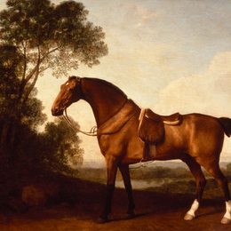 《有鞍的海湾猎人》乔治·斯塔布斯(George Stubbs)高清作品欣赏