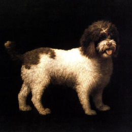 《水猎犬》乔治·斯塔布斯(George Stubbs)高清作品欣赏