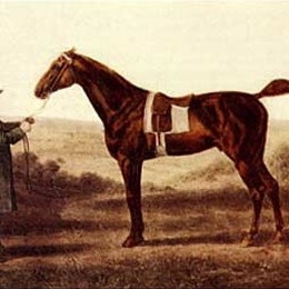 《迪奥默德》乔治·斯塔布斯(George Stubbs)高清作品欣赏