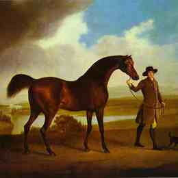 《格罗夫纳伯爵的罗圈》乔治·斯塔布斯(George Stubbs)高清作品欣赏