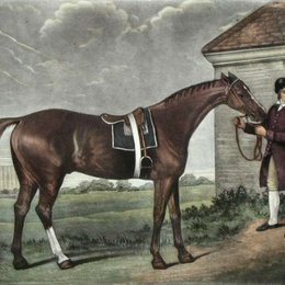 《日食》乔治·斯塔布斯(George Stubbs)高清作品欣赏