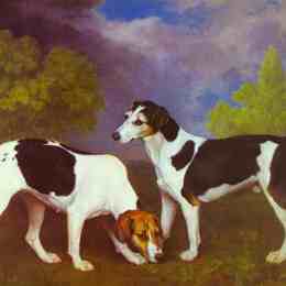 《猎犬和野狗》乔治·斯塔布斯(George Stubbs)高清作品欣赏