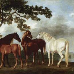 《河流景观中的母马和驹子》乔治·斯塔布斯(George Stubbs)高清作品欣赏