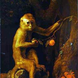 《猴子肖像》乔治·斯塔布斯(George Stubbs)高清作品欣赏