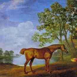 《南瓜仔》乔治·斯塔布斯(George Stubbs)高清作品欣赏