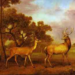 《红鹿雄鹿和后背》乔治·斯塔布斯(George Stubbs)高清作品欣赏