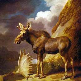 《驼鹿》乔治·斯塔布斯(George Stubbs)高清作品欣赏