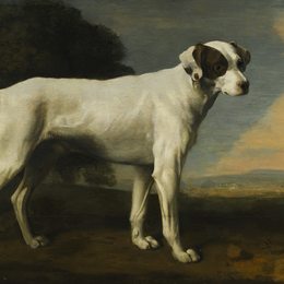 《子爵戈尔曼斯顿的白狗》乔治·斯塔布斯(George Stubbs)高清作品欣赏