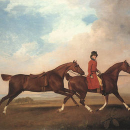 《威廉安德森有两匹马鞍马》乔治·斯塔布斯(George Stubbs)高清作品欣赏