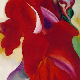 《红蛇龙》乔治亚·欧姬芙(Georgia O&amp;amp#39Keeffe)高清作品欣赏