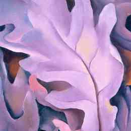 《紫叶》乔治亚·欧姬芙(Georgia O&amp;amp#39Keeffe)高清作品欣赏