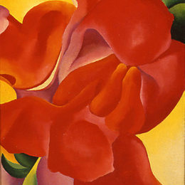 《红色美人蕉》乔治亚·欧姬芙(Georgia O&amp;amp#39Keeffe)高清作品欣赏