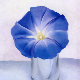 《蓝色牵牛花》乔治亚·欧姬芙(Georgia O&amp;amp#39Keeffe)高清作品欣赏