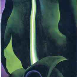 《玉米，黑暗我》乔治亚·欧姬芙(Georgia O&amp;amp#39Keeffe)高清作品欣赏