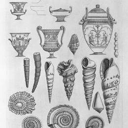 《其他贝壳和希腊花瓶蚀刻轮廓》乔瓦尼·巴蒂斯塔·皮拉内西(Giovanni Battista Piranesi)高清作品欣赏