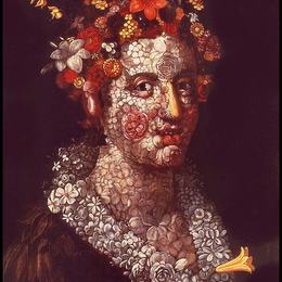 《植物区系》朱塞佩·阿沁波尔多(Giuseppe Arcimboldo)高清作品欣赏