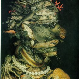 《水》朱塞佩·阿沁波尔多(Giuseppe Arcimboldo)高清作品欣赏