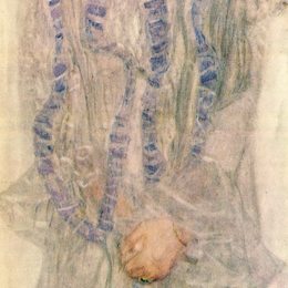 古斯塔夫·克林姆特(Gustav Klimt)高清作品:Portrait of Gertha Felssovanyi