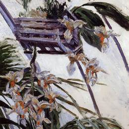 《兰花》古斯塔夫·卡里伯特(Gustave Caillebotte)高清作品欣赏