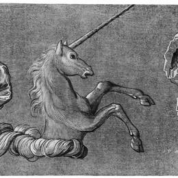 《独角兽研究》汉斯·鲍当(Hans Baldung)高清作品欣赏
